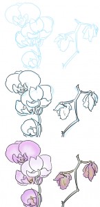 orchid_process